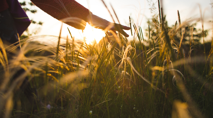 April Reflections: Embracing Renewal on Your Bariatric Journey